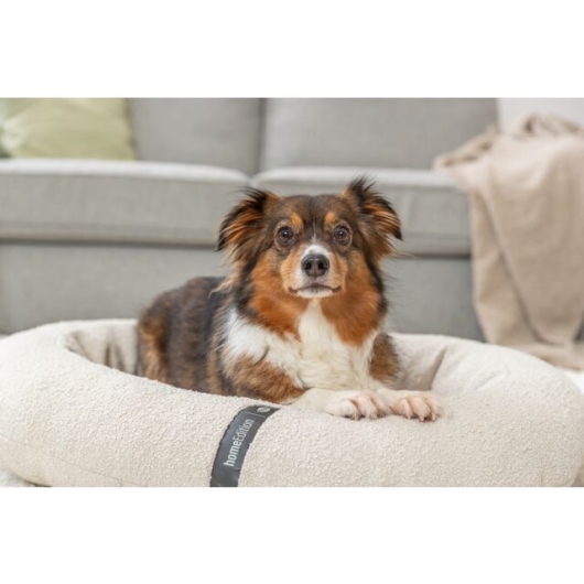 Orthopädisches Hundebett creme – Bild 4
